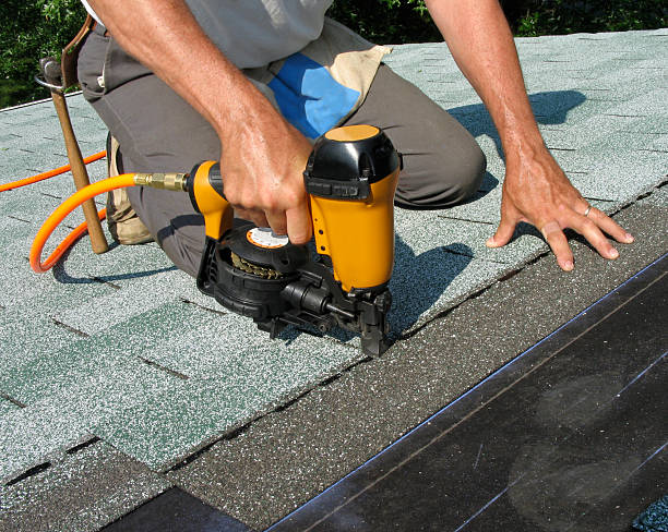 Best Roof Gutter Cleaning  in Maryville, MO